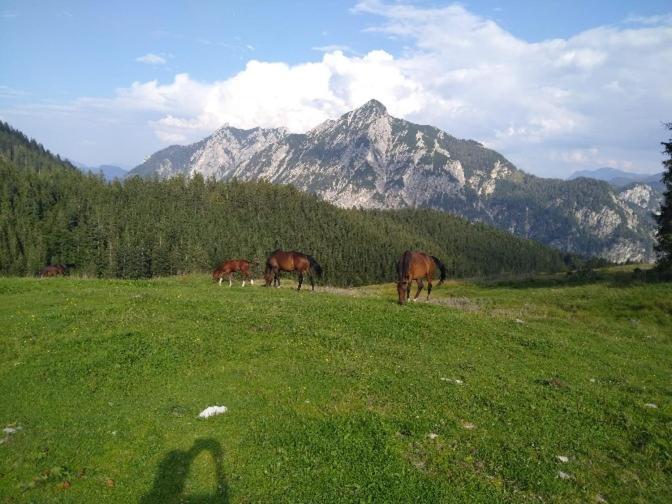 Mountainlove Strobl Esterno foto